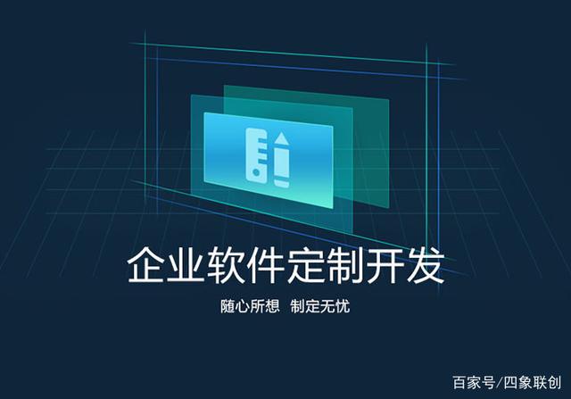 定制软件开发